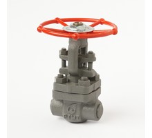 Coupling steel gate valve 30c(ls,NJ)41nzh Du20 #2