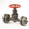 Flanged steel gate valve 30c(ls,nj)15nj Dn20 #5