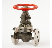 Flanged steel gate valve 30c(ls,nj)15nj Du25 #6