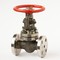 Flanged steel gate valve 30c(ls,nj)15nj Du25 #6